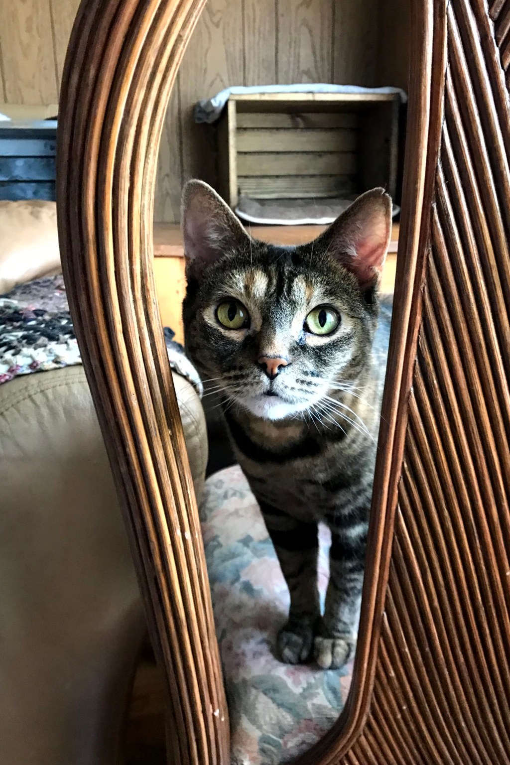 a point in&nbsp;time