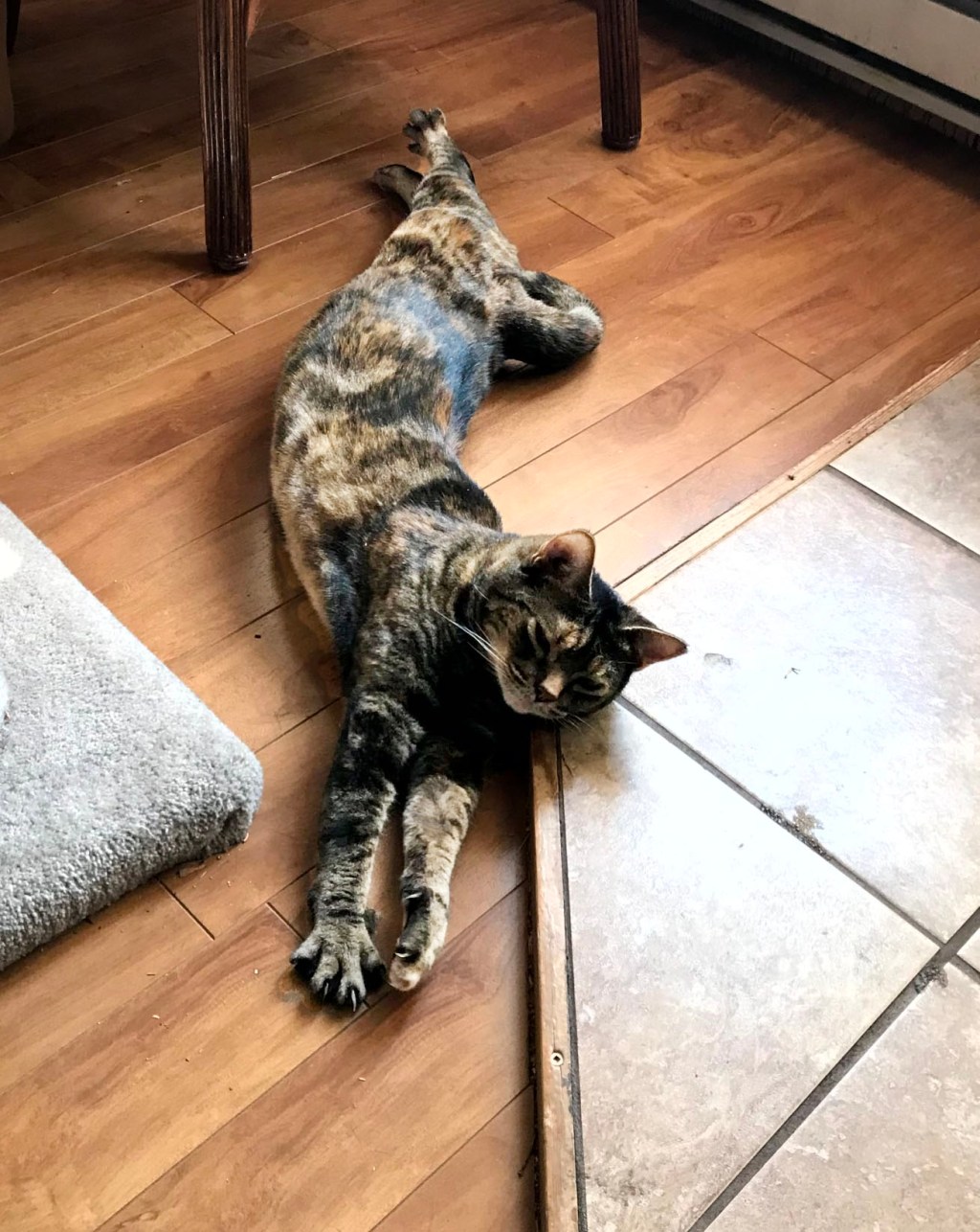 Claw Clipping Part&nbsp;II