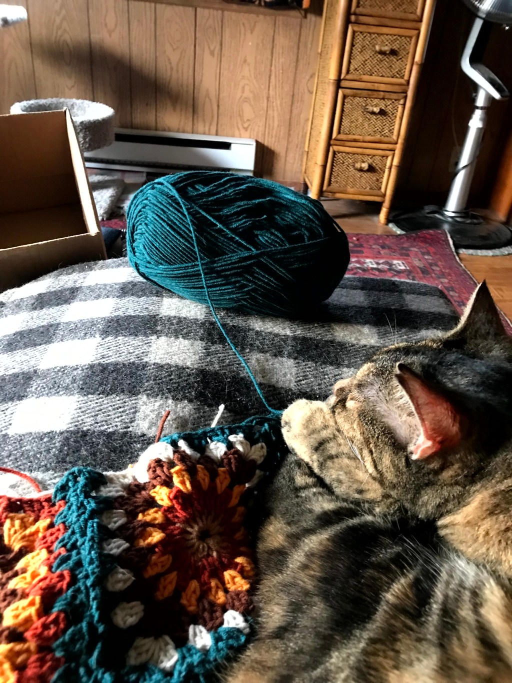 Mobile  Vet Visit&nbsp;II